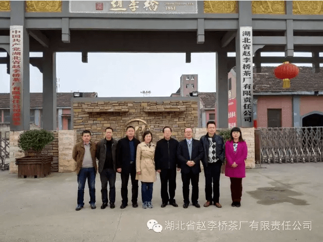 長江同濟堂趙李橋茶廠再聚首，合作進入實質性階段