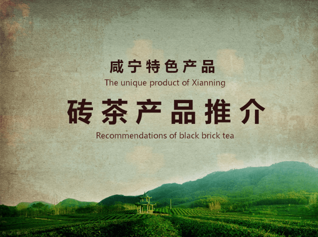 青磚茶：共同走進東南亞！