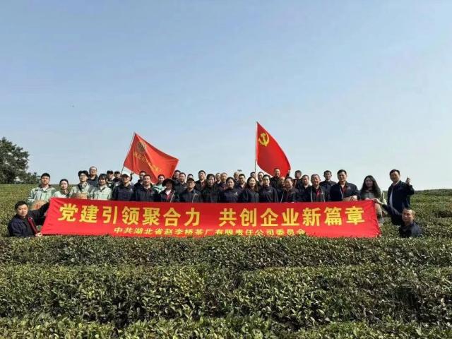 黨建引領聚合力 共創企業新篇章——湖北省趙李橋茶廠開展黨建活動